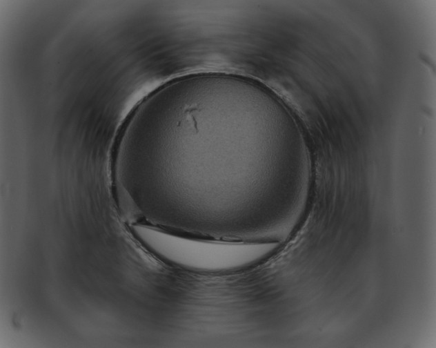 X0000093371230200710191110