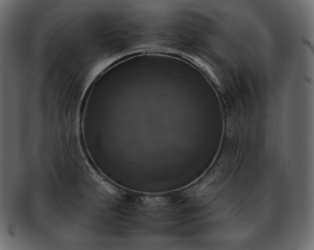 X0000093371231200710191110