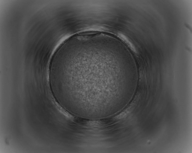 X0000093371232200710191110