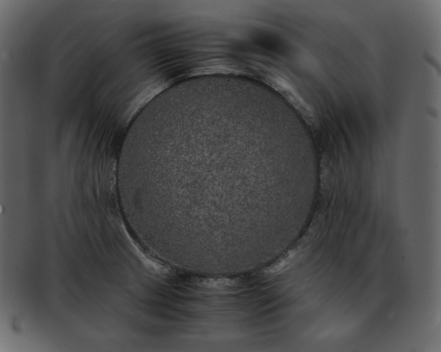 X0000093371233200710191110