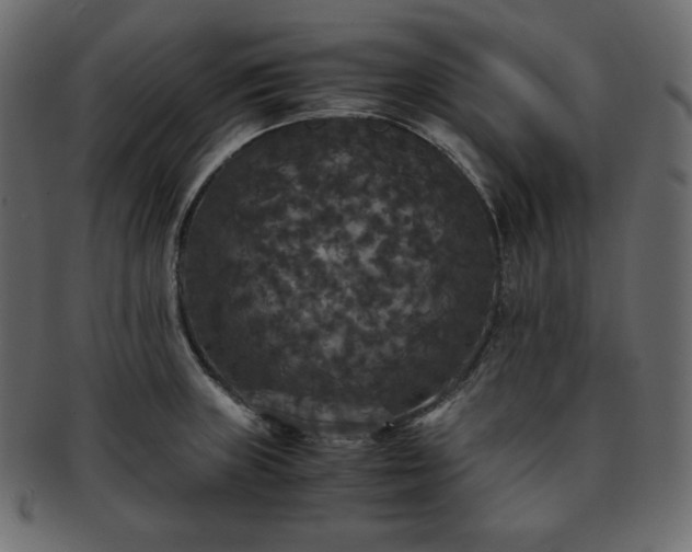 X0000093371235200710191110