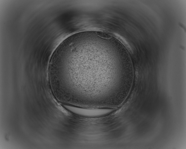 X0000093371236200710191110