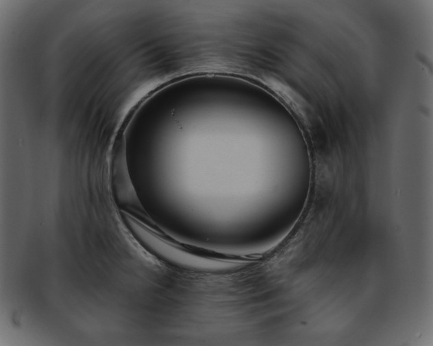 X0000093371238200710191110