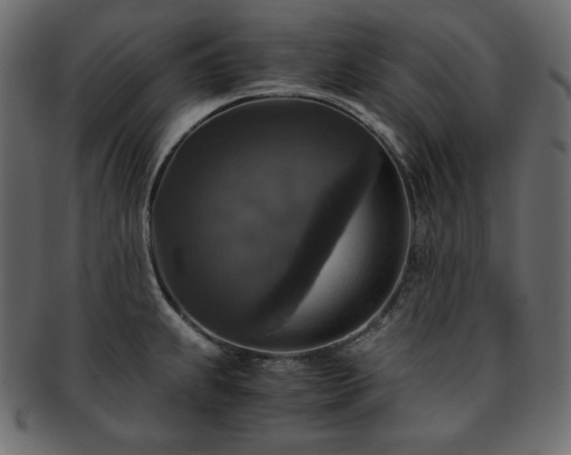 X0000093371239200710191110