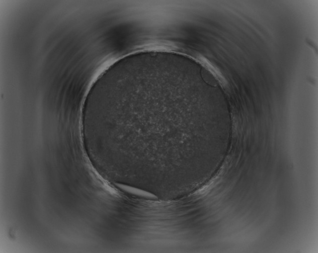 X0000093371240200710191110