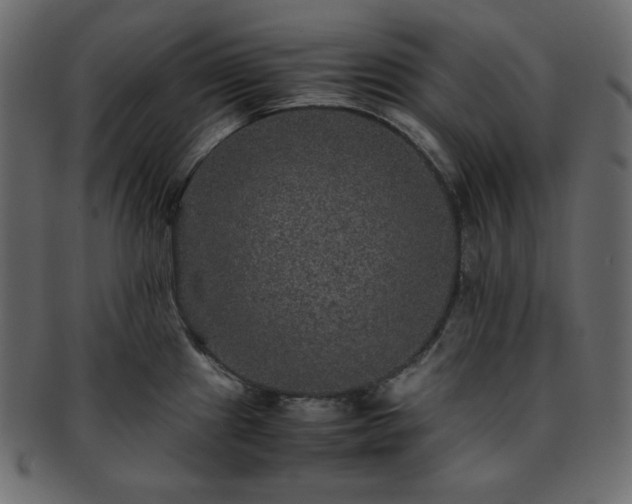 X0000093371241200710191110