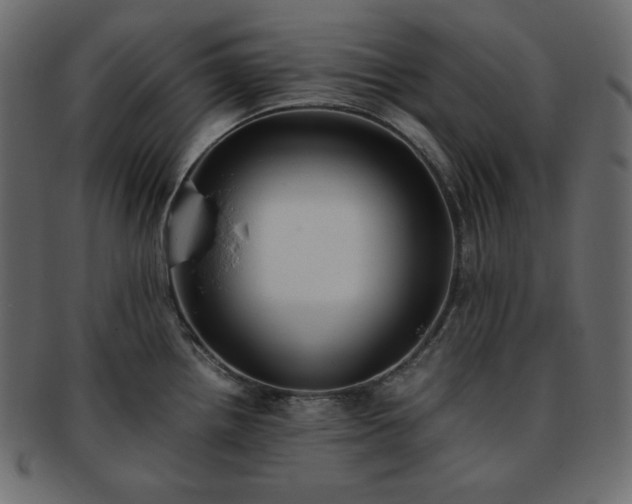 X0000093371242200710191110