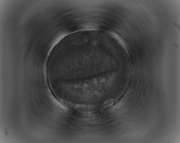 X0000093371243200710191110