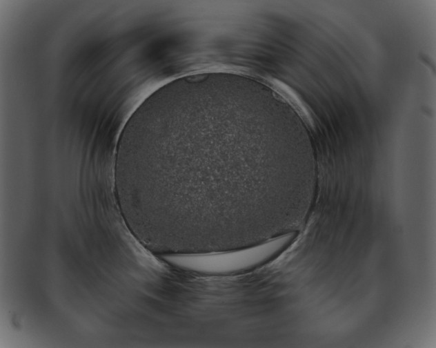 X0000093371244200710191110