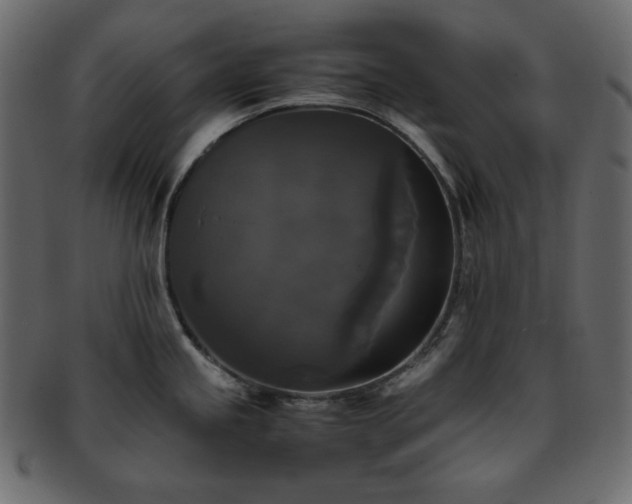 X0000093371245200710191110