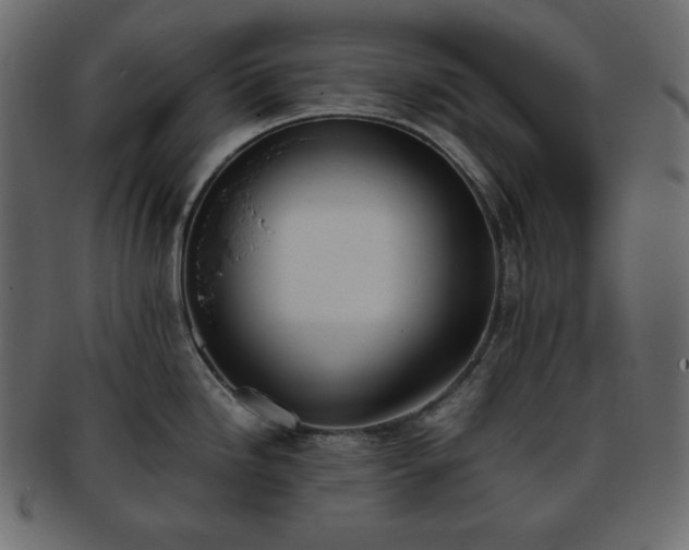 X0000093371246200710191110