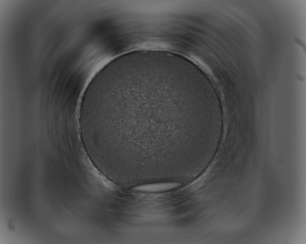 X0000093371248200710191110