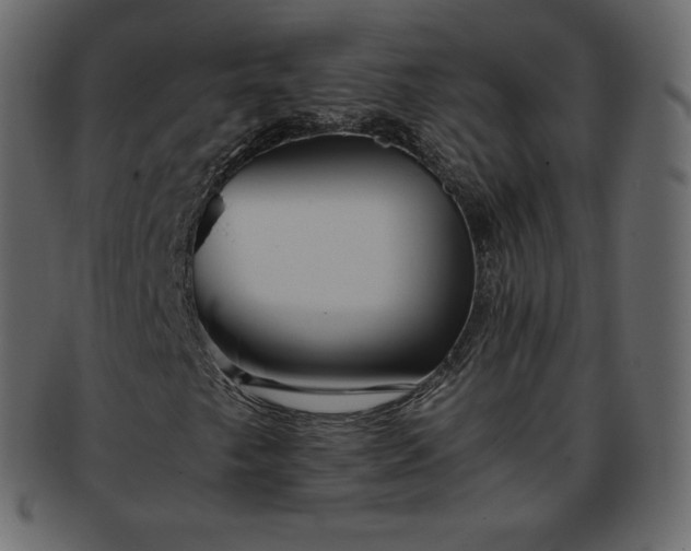 X0000093371249200710191109