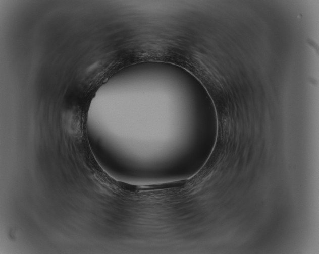 X0000093371250200710191109