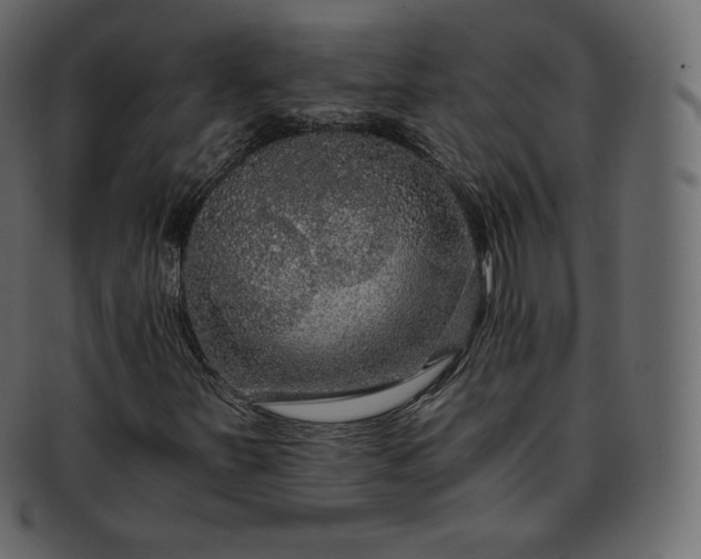 X0000093371251200710191109