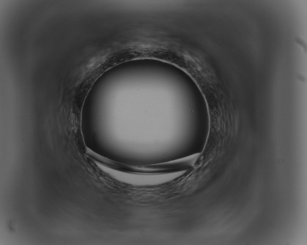 X0000093371253200710191109