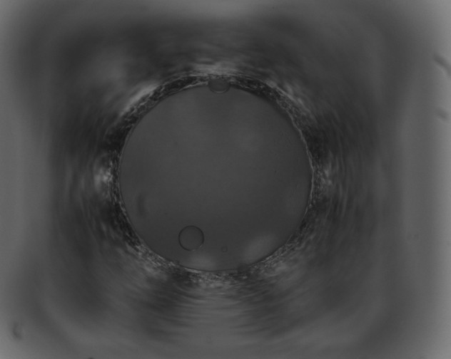 X0000093371254200710191109