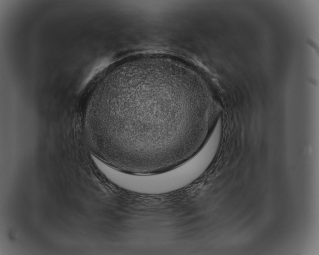 X0000093371255200710191109