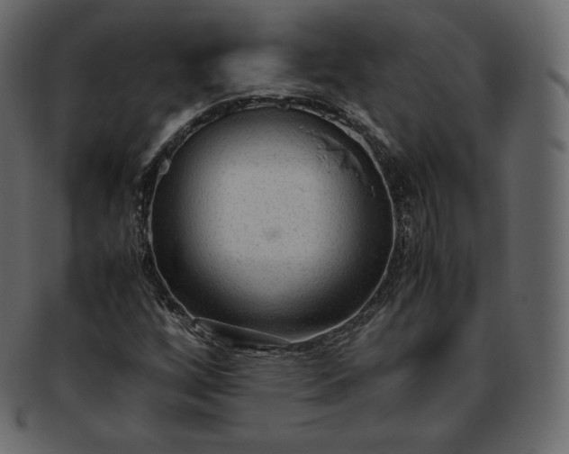 X0000093371256200710191109