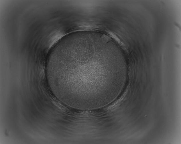 X0000093371259200710191109