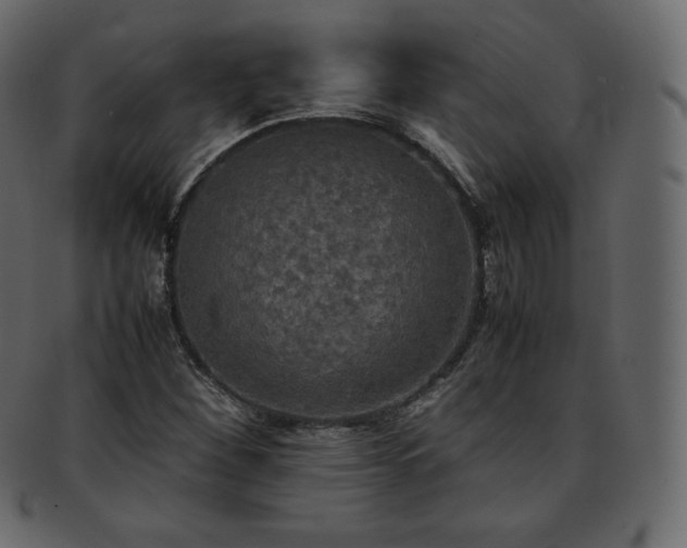 X0000093371260200710191109