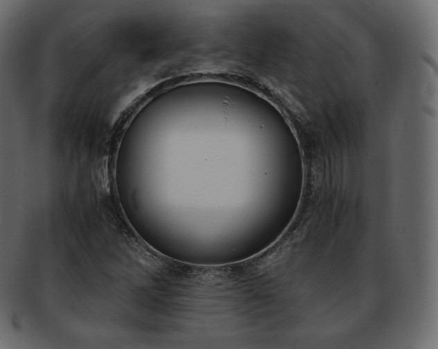 X0000093371262200710191109