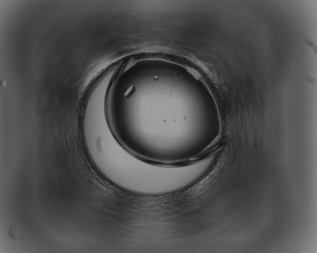 X0000093371263200710191109