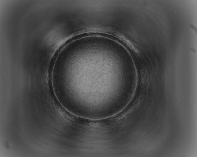 X0000093371264200710191109