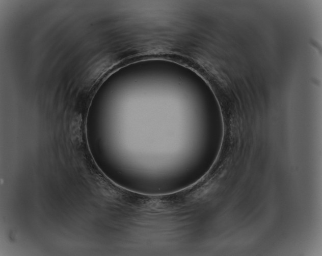 X0000093371265200710191109