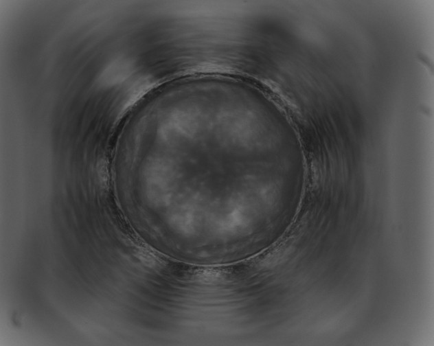 X0000093371266200710191109