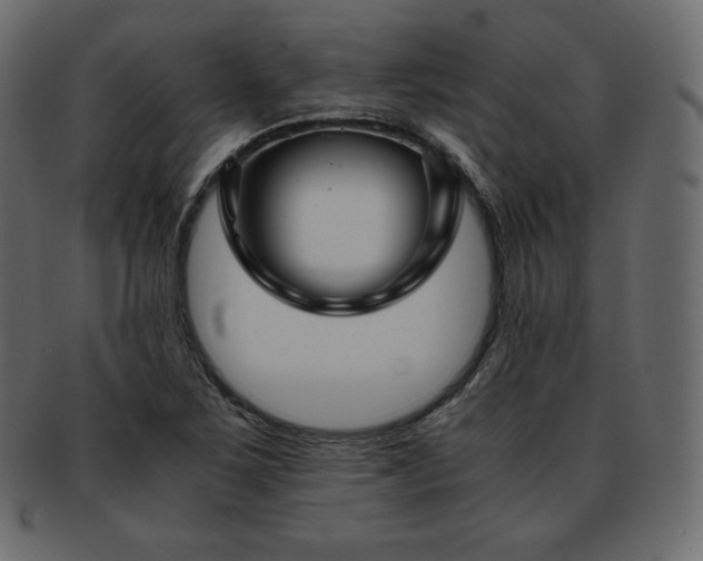 X0000093371267200710191109