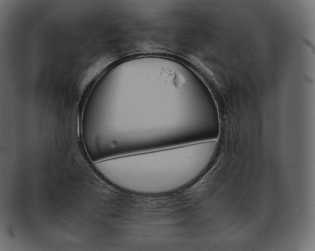 X0000093371269200710191109