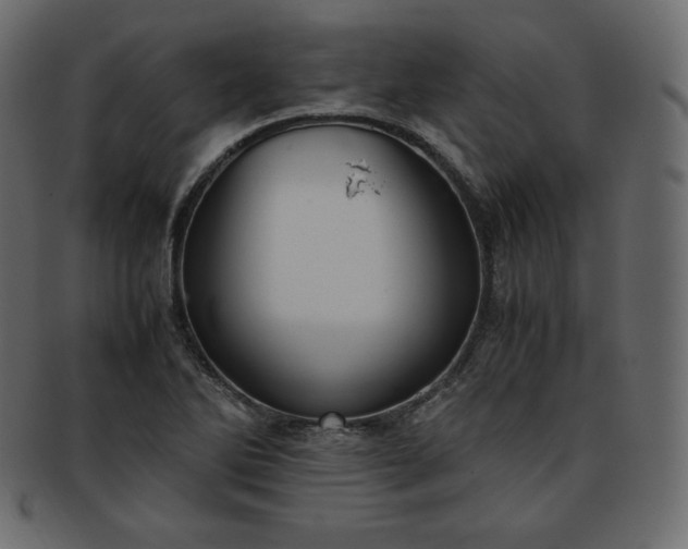 X0000093371270200710191109