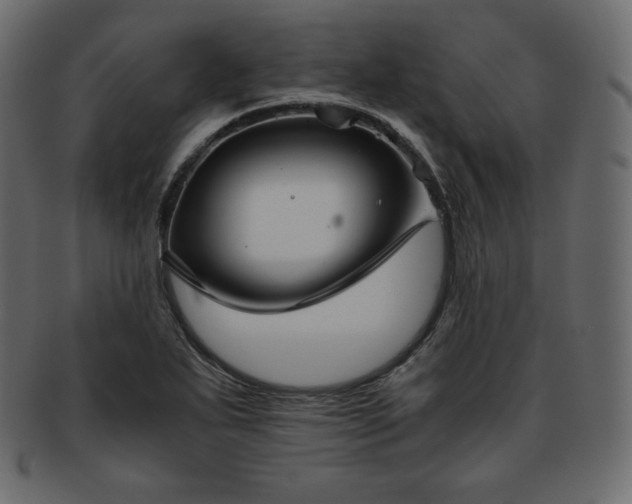 X0000093371271200710191109