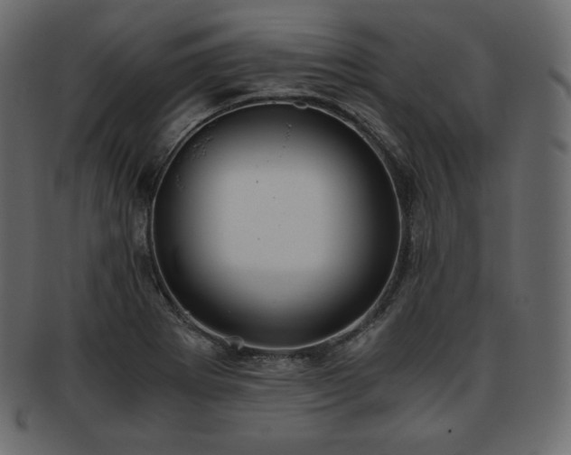 X0000093371273200710191109