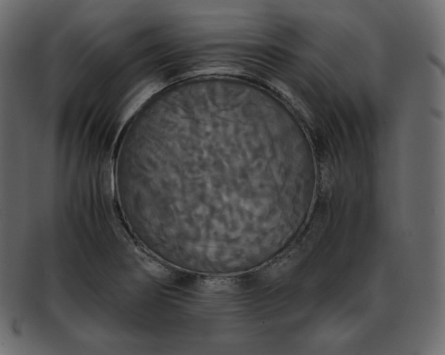 X0000093371274200710191109