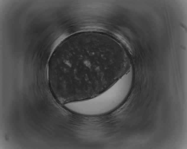 X0000093371275200710191109