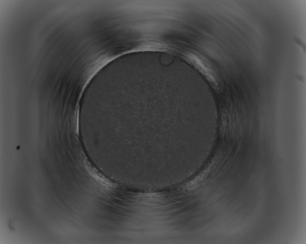 X0000093371276200710191109