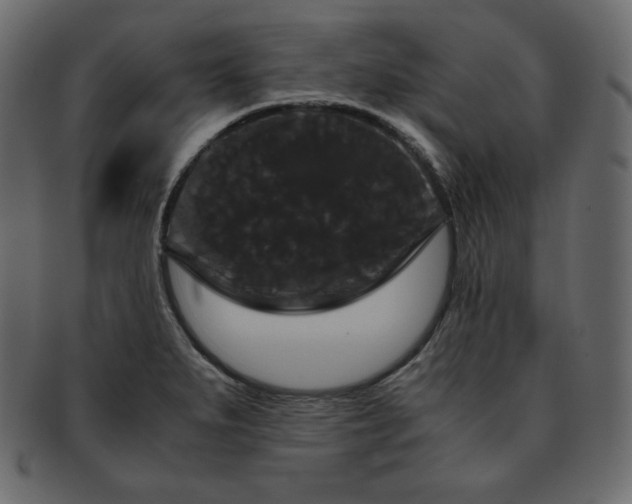 X0000093371279200710191109