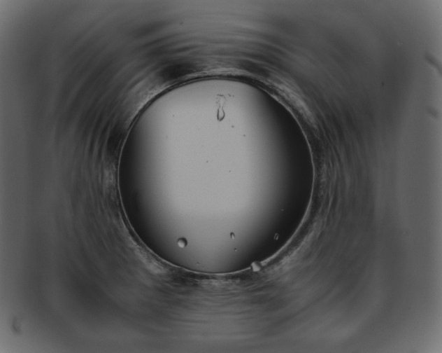 X0000093371281200710191109