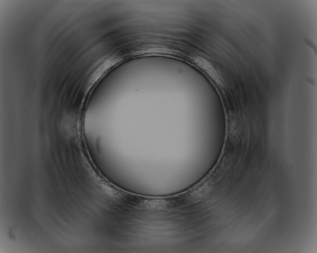 X0000093371282200710191109