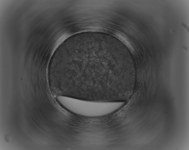 X0000093371283200710191109