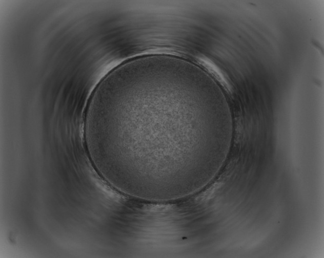 X0000093371284200710191109