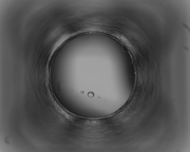 X0000093371286200710191109