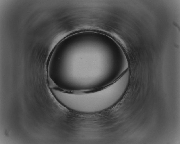 X0000093371287200710191109