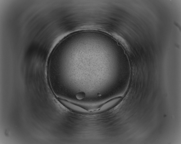 X0000093371288200710191109