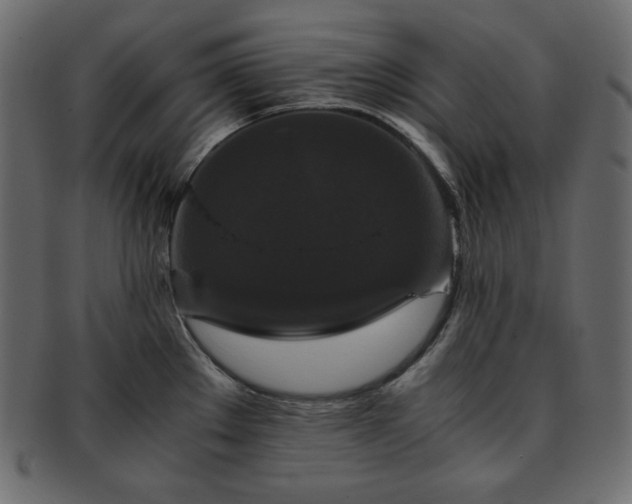 X0000093371289200710191109