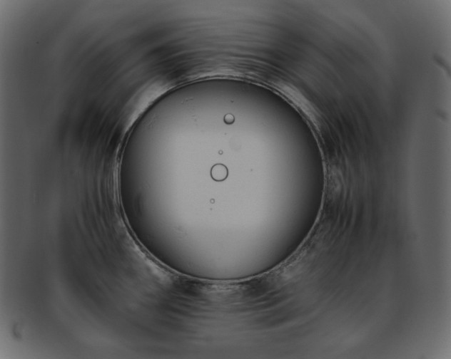 X0000093371290200710191109