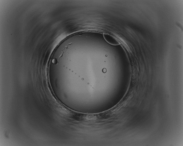 X0000093371291200710191109