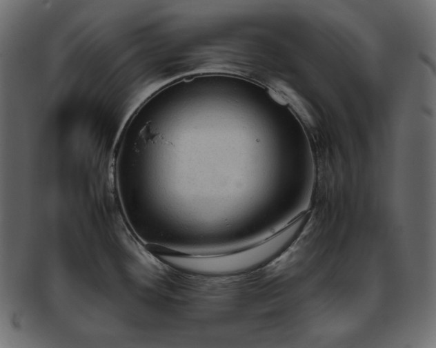 X0000093371292200710191109